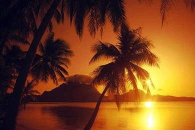 Tropical Paradise Ipad Wallpapers