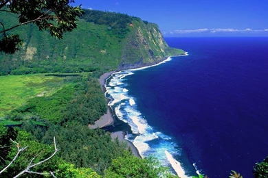 Attractive Wallpapers Tropical Paradise