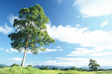 Feeling The Nature   Outdoor Relaxation Wallpapers 1440x900 NO.32 ...