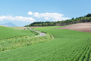 Feeling The Nature   Outdoor Relaxation Wallpapers 1680x1050 NO.31 ...