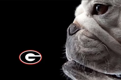 The University Of Georgia Redcoat Band   Community   Google+