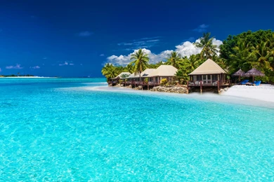 Tropical Paradise Wallpapers Above Are – What's Trending Today