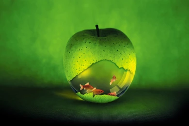 Download The Gold Fish Apple Wallpaper, Gold Fish Apple iPhone ...