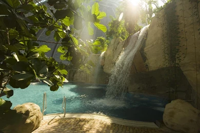 TROPICAL PARADISE WALLPAPER   (