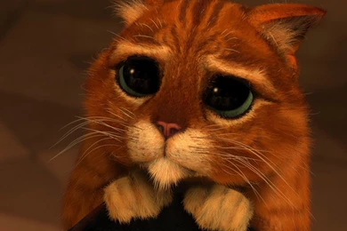 Puss In Boots Anime Movie Desktop Wallpapers 14   1440x900 ...