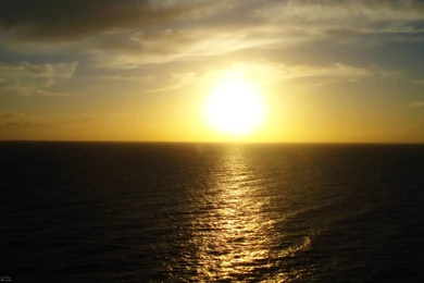 Realistic Wallpapers