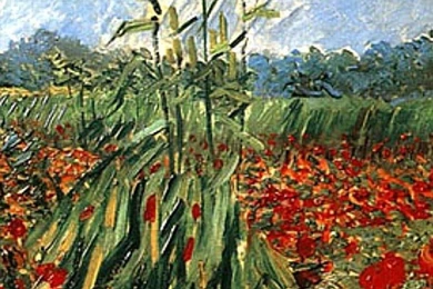 Fields Vincent Van Gogh Artwork Traditional Art Wallpapers