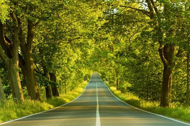 Wallpapers Screensavers   Wallpapers HD Base