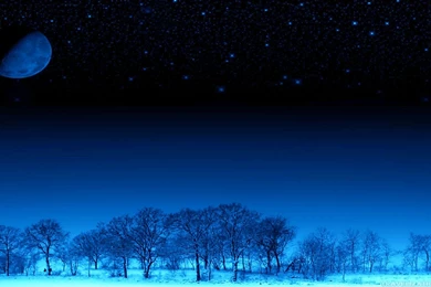 WINTER NIGHT WALLPAPERS HD WAF1121
