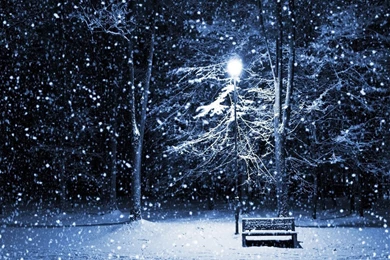 YoWorld Forums • View Topic   Ƹ̵̡Ӝ̵̨̄Ʒ Mrs.Siggies Ƹ̵̡Ӝ̵̨̄Ʒ