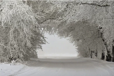 Winter Wallpapers High Resolution   Ndemok.com