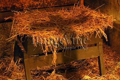 Christian Christmas Backgrounds For Worship And PowerPoint ...