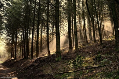 Beautiful Sunrays Wallpapers [Wallpapers Wednesday]   Hongkiat