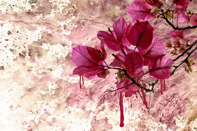 Paint Flower Art Wallpapers 7661 1920x1080   UMad.com