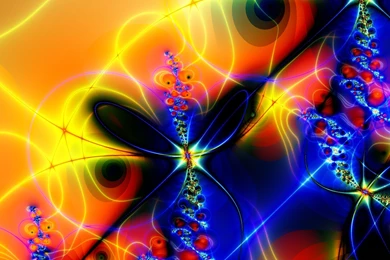 Animal, Wallpapers, Black, Bessbug, Beetle, Background, Cool ...