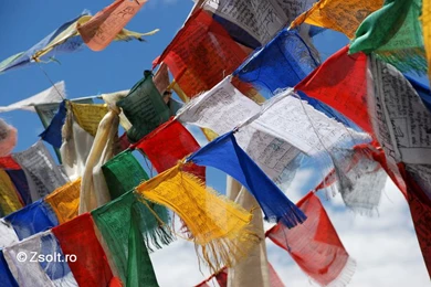 Index Of /en/wp content/gallery/hinh nen phat giao