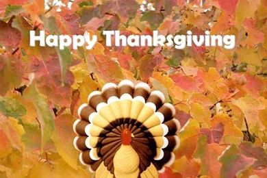 Disney Thanksgiving Wallpapers