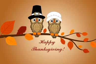 Free Funny Thanksgiving Wallpapers Id: 4136   7HDWallpapers
