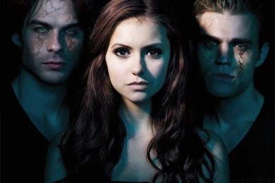 The Vampire Diaries Wallpapers Collection (45+)
