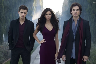 Stefan, Elena, Damon, The Vampire Diaries, Damon Salvatore, Ian ...