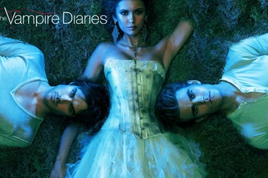 Image   Vampire Diaries Wallpaper the vampire diaries tv show ...