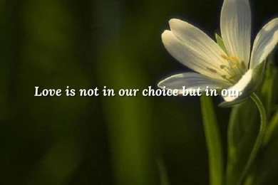 You'll Thank Us For Later Hurt Quotes Wallpapers Fashion Blog