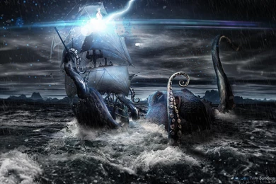 30 Ingenious Octopus Photographs « Stockvault.net Blog