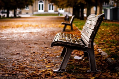 Lovely Park Bench HD Wallpapers