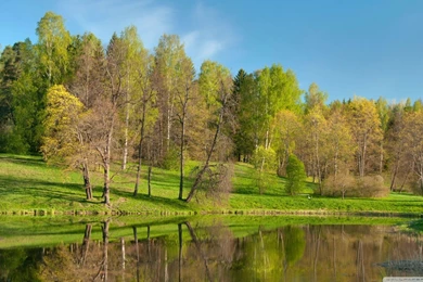 Beautiful Park HD Desktop Wallpapers : High Definition : Fullscreen ...