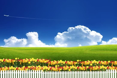 Wallpapers Abstract Best Full Hd Free Wallpapres Totally High ...