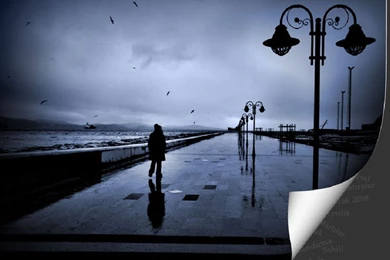 Best Free Wallpapers HQ 1440x900