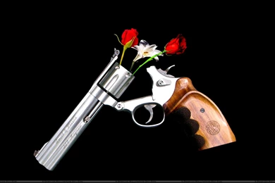 Guns N Roses Wallpapers   4 Items