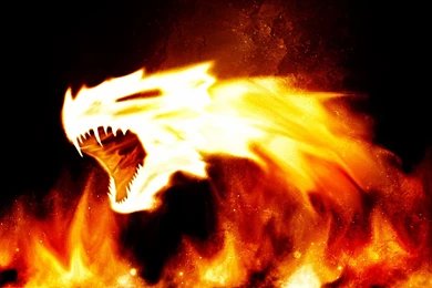 3d Wallpapers Hd Fire Animals For Desktop Backgrounds 13 Hd ...