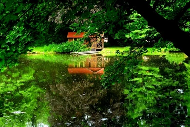 Windows 8 Cute Clean Hd Desktop Wallpapers