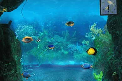 Computer Screen Wallpapers Hd