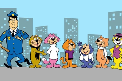 Top Cat HD Stunning Wallpapers Free HD Wallpapers   Download Top Cat ...