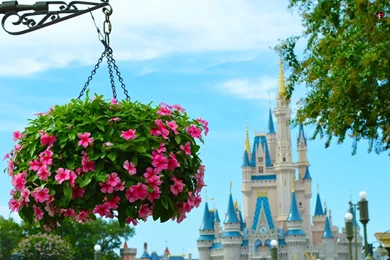 Walt Disney World Resort Wallpapers For Desktop, Laptop And ...