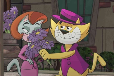 Top Cat Wallpapers – Daily Backgrounds In HD