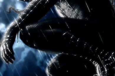 Wallpapers For Iphone 4 Hd Free