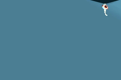 Cat Hanging At The Top Of The Screen, Blue Backgrounds Wallpapers ...