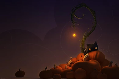 Halloween Cats Backgrounds