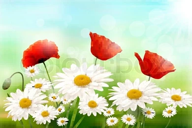 Nature Backgrounds With Summer Flowers And Open Zipper Vector ...