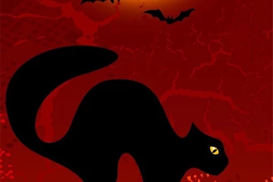 Black Cat And Bats Boo Halloween iPhone 6 Wallpapers For 2015 ...