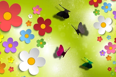 Colorful Flower Best Wallpapers