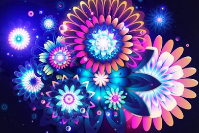 Colorful Flower Wallpapers Designs