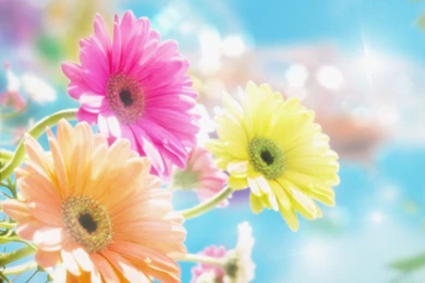 Quotes Desktop Backgrounds Wallpapers : Quotes Wallpapers ...