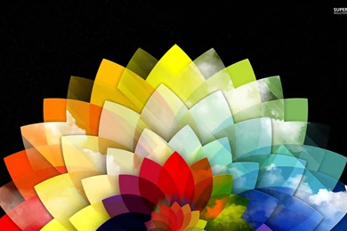 Colorful Flower Free Wallpaper Images