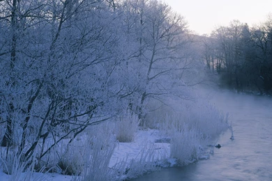 1440*900 Widecscreen Snow Winter Wallpapers   Winter Snow Scene ...