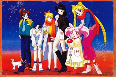 Bishoujo Senshi Sailor Moon Sailor Senshi Team Wallpapers ...