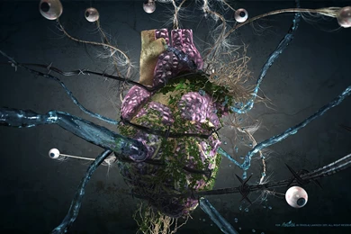 Wallpapers Set: Heart Beat   ArtisNavi.com